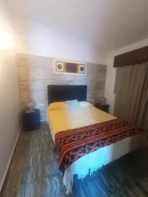 a bedroom with a large bed in a room at Departamentos Amanda in Santa Rosa de Calamuchita