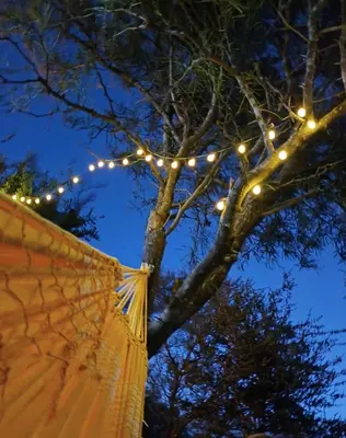 a tree with lights on it at night at Cabaña el atardecer in Villa Anizacate