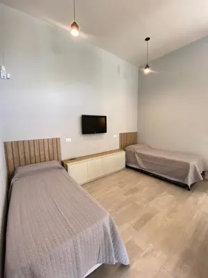 a bedroom with two beds and a flat screen tv at Solana Apart in Mina Clavero