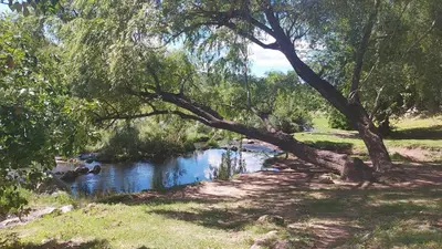 a river with a tree in the middle of a field at Casa Pileta Exclusiva A 40 Mtrs Rio Y 2 Minutos Del Centro in Villa Carlos Paz