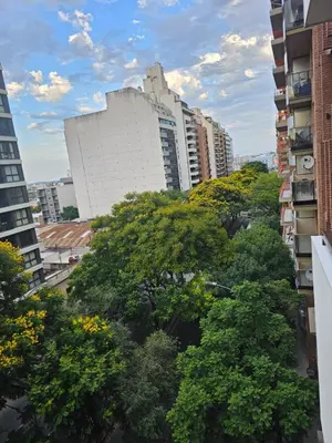 a row of trees in front of tall buildings at Alto Parana Depto en Nueva Cordoba! in Cordoba