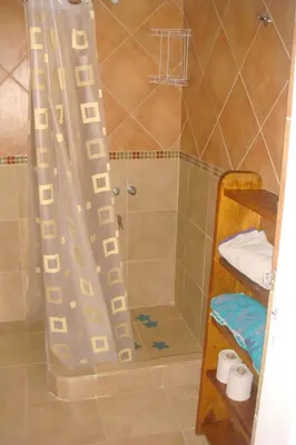 a shower with a shower curtain in a bathroom at Cerritos Departamento in Villa Carlos Paz