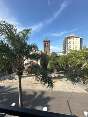 a palm tree in front of a building with a clock tower at Duplex peatonal in Villa Carlos Paz