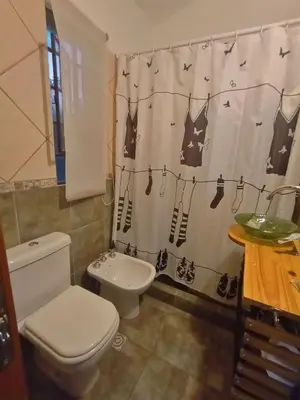 a bathroom with a toilet and a shower curtain at El Mirador de Ana Villa de las Rosas in Villa de Las Rosas
