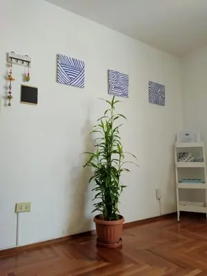 a potted plant in a room with paintings on the wall at El Sol de Vilaró Dpto a mts de todo in Cordoba