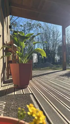 a plant in a pot sitting on a porch at Cabaña tranquila y gran parque ideal para parejas in Villa Anizacate
