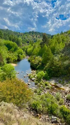 a river in the middle of a field with trees at Adlerhaus in La Cumbrecita