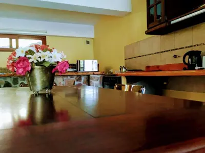 a vase of flowers sitting on a table in a kitchen at Adlerhaus in La Cumbrecita