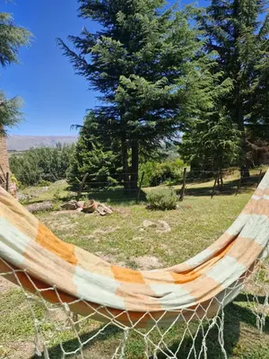 a hammock in a field with trees in the background at Cabaña Senderos del Champaquí in Villa Yacanto