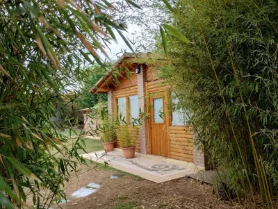 a small wooden house with plants in front of it at Aimara Casas de alquiler in Mina Clavero
