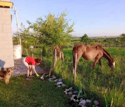 a woman and a dog and a horse in a field at Elmosquetal in Villa Yacanto