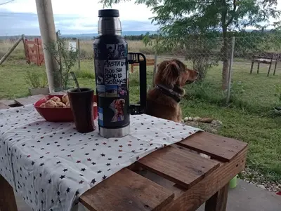 a dog sitting next to a table with a drink at Elmosquetal in Villa Yacanto