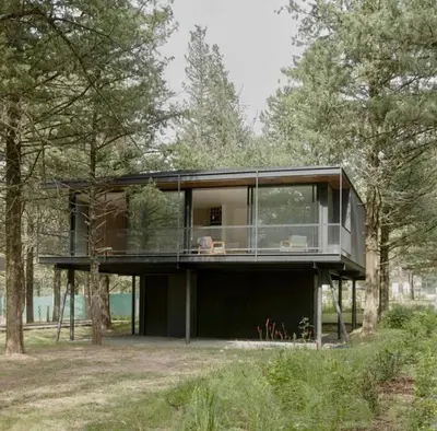 a glass house in the middle of a forest at Casa entre pinos in La Florida