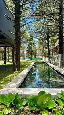 a swimming pool in a park with trees and grass at Casa entre pinos in La Florida