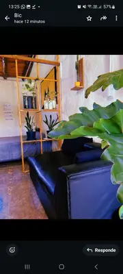 a living room with a blue couch and plants at Departamento katzen in Alta Gracia