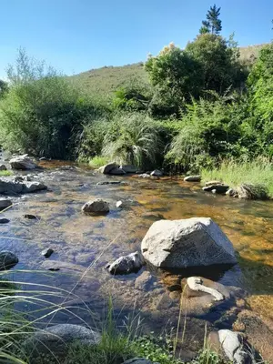 a river with rocks and trees in the background at Remanso in La Estancia