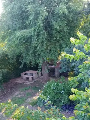 a bench under a tree in a garden at Elsieland in Tanti