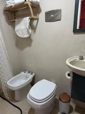 a bathroom with a toilet and a sink at Apartamento Betania in Cordoba
