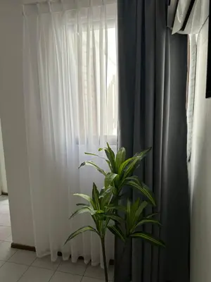a plant in front of a window with white curtains at Apartamento Betania in Cordoba