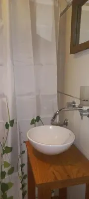 a bathroom with a white sink and a plant at Casa FUJI in Villa de Las Rosas