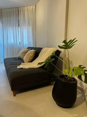 a black couch in a living room with a plant at Cañada Premium- Imgo- Mostaza Sanchez in Cordoba