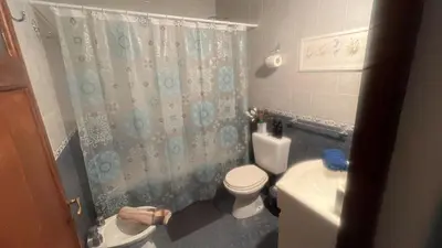 a bathroom with a toilet and a shower curtain at CENTRO Departamento dos dormitorios in Cordoba