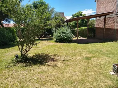 a small tree in a yard next to a building at Casita Loma Hermosa in Mina Clavero