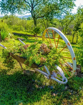 a wheelbarrow filled with plants in a garden at CABAÑAS La Perla in Bialet Massé