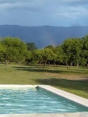 a swimming pool with a view of a field and trees at Las Icarias Casas de campo in Las Calles