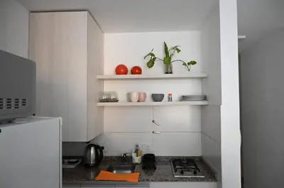 a kitchen with a stove and shelves with plants at Unique & Cozy Apt in Cordobas heart in Cordoba