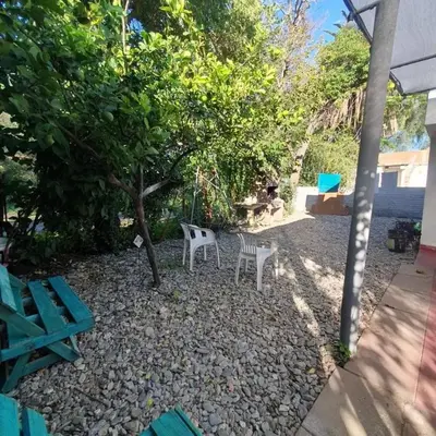 two chairs and a tree in a yard at Gen Viajero Hostel in Merlo