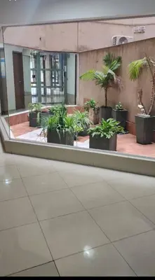 a group of potted plants in a building at La Terraza in Cordoba