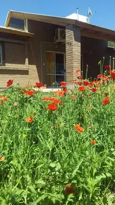 a field of red flowers in front of a house at Casa Amapola in Embalse