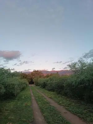 a dirt road in the middle of a field at El buen retiro in Villa de Las Rosas