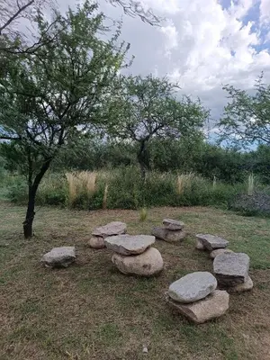 a group of stepping stones in a field with a tree at El buen retiro in Villa de Las Rosas