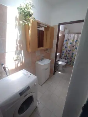 a bathroom with a washing machine and a sink at Doña Nelly 1 in Villa Carlos Paz