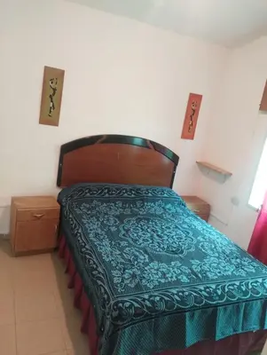 a bedroom with a bed with a green blanket on it at Doña Nelly 1 in Villa Carlos Paz
