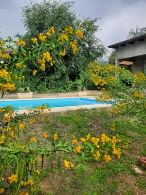 a garden with yellow flowers next to a swimming pool at Cabaña La Kalma in Santa María