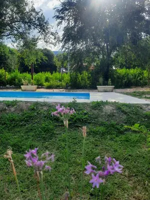 a garden with purple flowers and a swimming pool at Cabaña La Kalma in Santa María