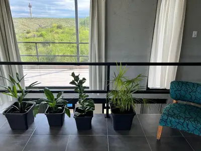 a room with potted plants in front of a window at El Paisaje in Villa Parque Siquiman
