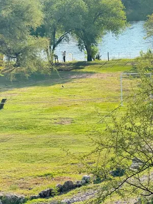 a grassy field with trees and a body of water at Vista al río 2 dormitorios in Arroyo de Los Patos