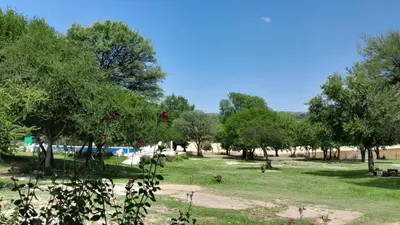 a park with a bunch of trees and grass at Vista al río 2 dormitorios in Arroyo de Los Patos