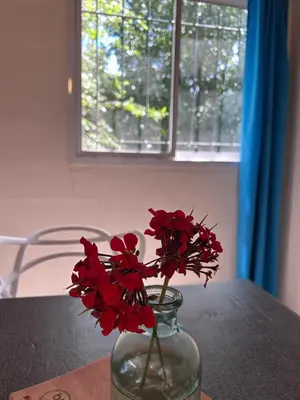 a glass vase with red flowers in it on a table at Bungalow a metros del centro in Villa General Belgrano