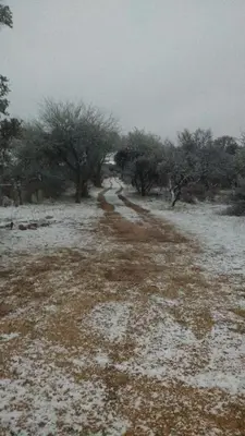 a snow covered path in a field with trees at Cabañas 