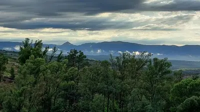 a group of trees with mountains in the background at Cabaña Tanti Estancia La Escondida in Tanti