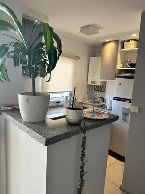 a kitchen with a potted plant on a counter at Departamento Nueva Córdoba in Cordoba