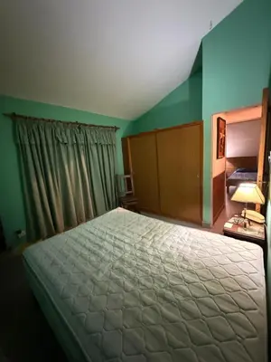 a bedroom with a large bed and green walls at Alojamiento Lo de Jaime in Merlo