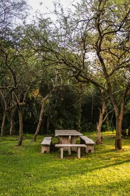 a picnic table in a park with trees at La Tranquilidad in Merlo