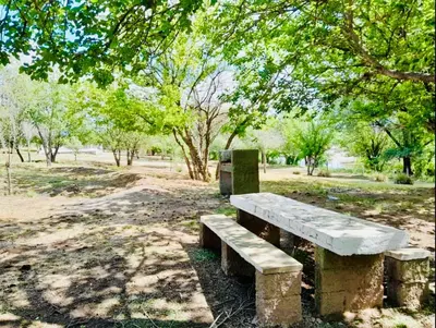 a stone bench sitting under a tree in a park at Cabañas la posada de kika in Arroyo de Los Patos