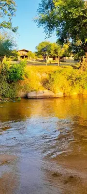 a view of a river with trees and grass at Cabañas la posada de kika in Arroyo de Los Patos